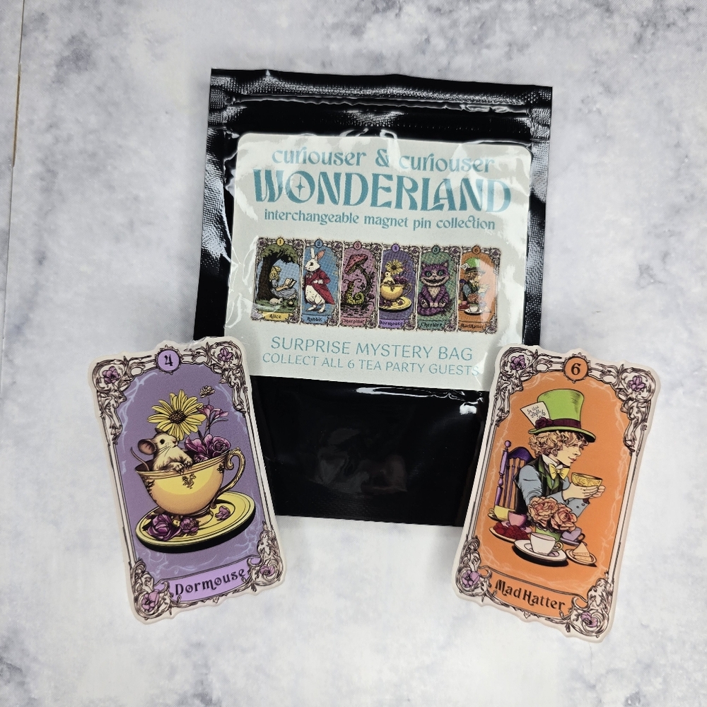 Alice in Wonderland Interchangeable Pins Mad Hatter Dormouse NWOT